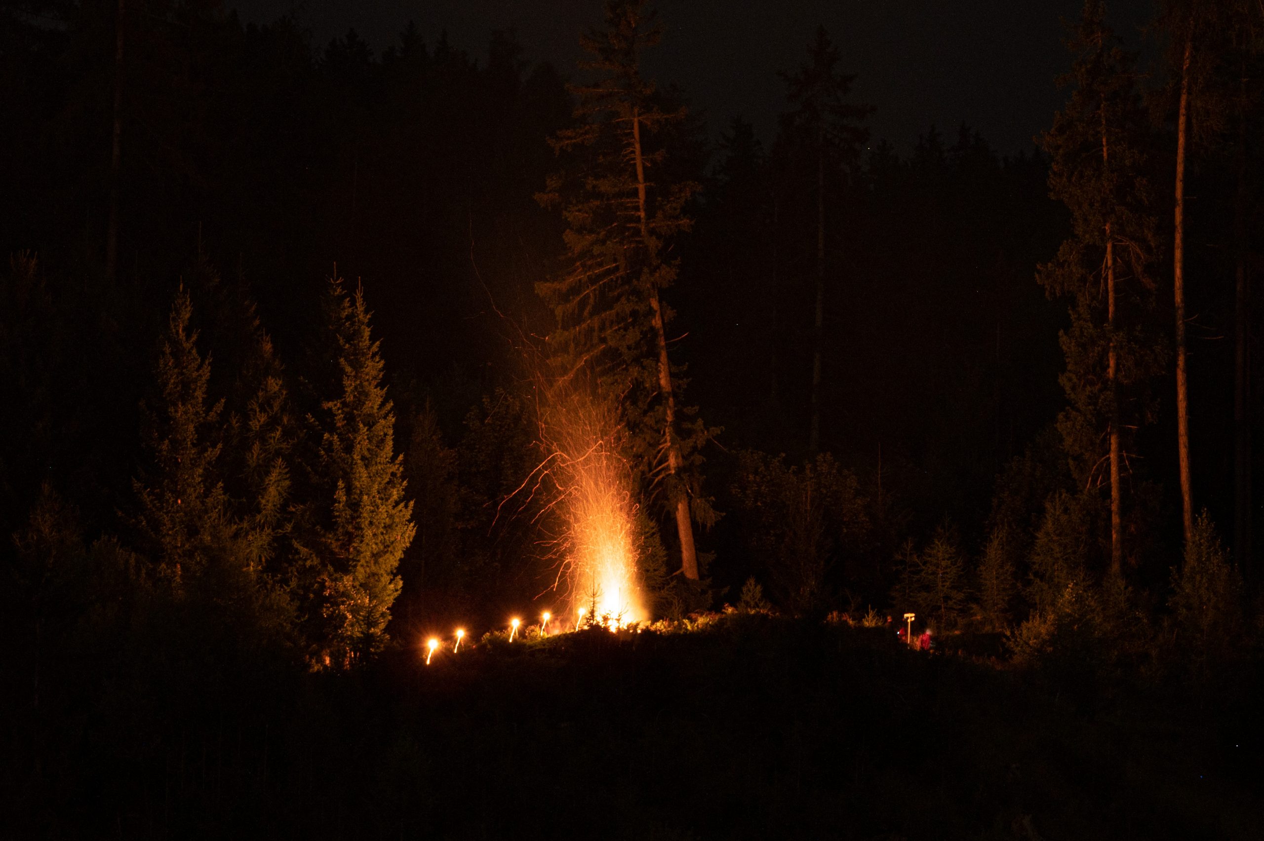 Mehr über den Artikel erfahren Vermeintlicher Waldbrand